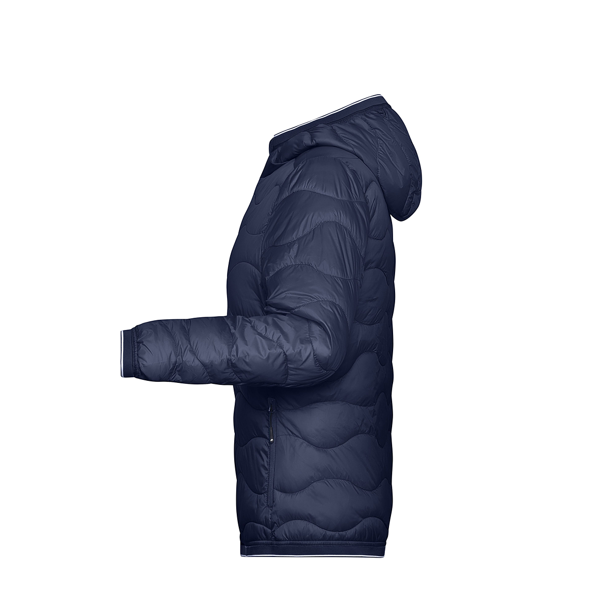 dai1793294|detail_64515.png